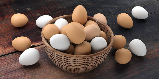 无抗生素鸡蛋是否可以生吃？